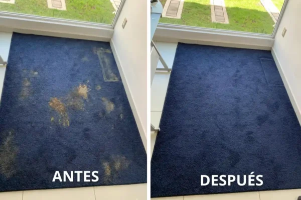 Lavado de Tapetes en Puebla a Domicilio Lavado de Tapetes en Puebla a Domicilio